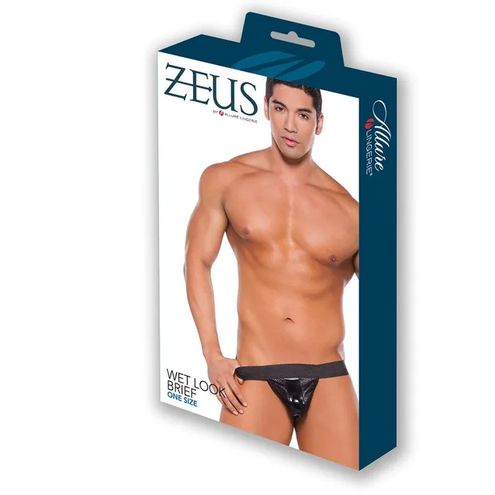 Allure Lingerie Female Sex Toys | Zeus Wet Look Brief With Pouch Front